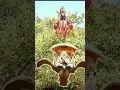 Download Lagu sant Tukaram Maharaj  #shortvideo #viral