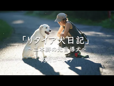 【軽井沢・蓼科エリアに強い愛犬撮影】実績豊富な写真家がワンプライスで！