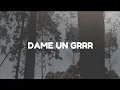 Download Lagu Dame unn grr - Song (Letra, Lirics) || Trend tiktok