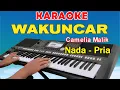 Download Lagu WAKUNCAR - KARAOKE | NADA PRIA || CAMELIA MALIK