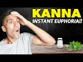 Kanna The Spiritual Supplement That Will Change Your Life