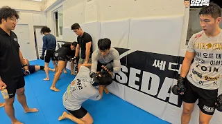 블랙컴뱃 챔피언! 극한 훈련중인 시라소니 붉은매