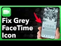 Why Is FaceTime Icon Grayed Out For One Person