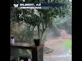 Strong Winds LASH Phoenix AZ Metro From Monsoon Storms
