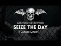 Lagu Seize the Day - Avenged Sevenfold (Türkçe Çeviri)