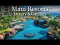 Top 10 Resorts in Maui 2025 Hawaii Travel Guide