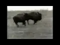 U2 - One (Mark Pellington Version)