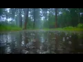 10 hours Just Sound of Rain GIF without music Relaxing Sound