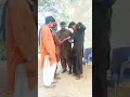 Sheedi g Shadi
