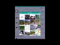 How to review on tripadvisor app Taiwan Vista Tour