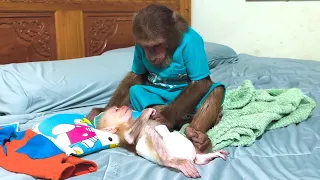CUTIS Was So Worried About Sick BUEM… He Refused to Leave Him Alone