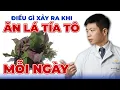 Download Lagu Điều Gì Xảy Ra Khi Ăn Lá Tía Tô Mỗi Ngày | Dr Ngọc