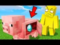 Download Lagu I Made Everything A Chest To Troll My Friend