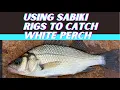 Lagu Using Sabiki Rigs To Catch White Perch