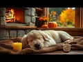 Download Lagu 12Hours Of Dog Calming Music🌿Anti Anxiety Music for Dogs, Relaxing Sleep Sounds, Puppy Stress Relief