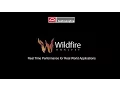 Real time wildfire simulations using Wildfire Analyst
