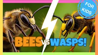🐝 BEES vs. WASPS! 🦟 | Ultimate Insect Showdown for Kids | Educational Videos for Kids