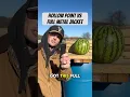 Download Lagu Hollow point vs full metal jacket watermelon test