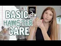 Basic Hamster Care