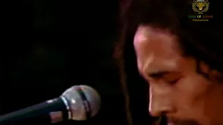 wake up and live bob marley concert santa barbara 1979