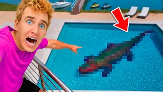 THIS CAME OUT OF HIBERNATION!! *DANGEROUS*