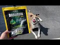 Nutramax Dasuquin Review The Ultimate Joint Health Supplement for Your Pet