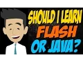 Should I Learn Flash or Java