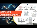 Lagu RNA-seq Analysis (Part 1) – Introduction \u0026 WorkFlow