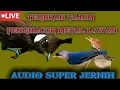 Download Lagu cililin rambatan paruh merah dan cigun