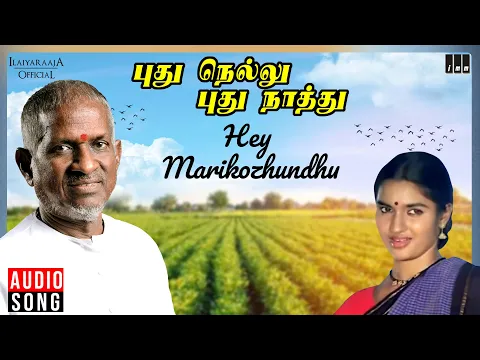 Download MP3 Hey Marikozhundhu Song | Pudhu Nellu Pudhu Naathu Movie | Ilaiyaraaja | Sukanya | S Janaki