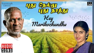 hey marikozhundhu song pudhu nellu pudhu naathu movie ilaiyaraaja sukanya s janaki