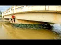 Download Lagu Hard Work To Remove Floating Plant Clogged On Bridge