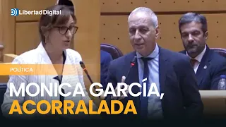 El repaso descomunal de un senador de Ceuta a Mónica García