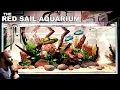 The Red Sail Aquarium 4ft Aquascape Tutorial