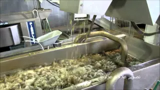 مراحل عصر الزيتون في المعاصر الحديثة 