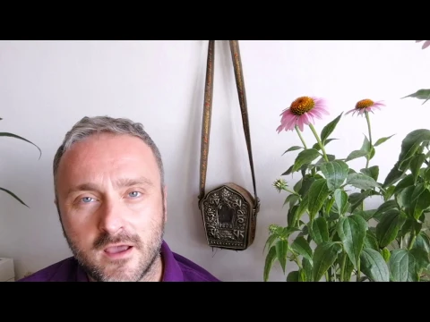 Ehinacea najbolja biljka za jačanje imuniteta