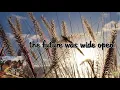Tom Petty - Into The Great Wide Open [Lyrics]