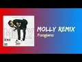 MOLLY (Remix) (Lyrics) - Foogiano feat. @DaBaby