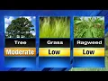 Metro Detroit weather Here is the allergy report for May 10 2018