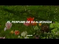Ana Gabriel — Quién Como Tú [Letra]