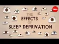 Download Lagu What would happen if you didn’t sleep? - Claudia Aguirre