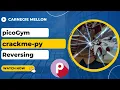 picoGym picoCTF Exercise crackme-py