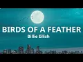 Billie Eilish - BIRDS OF A FEATHER
