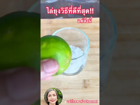 เหลือเชื่อ!!แค่ใส่สิ่งนี้ไล่ยุงหนีไกลบ้านหอมฟุ้งวิธีไล่ยุงมดแมลงจิ้งจกตุ๊กแก￼ วิธีที่ดีที่สุด