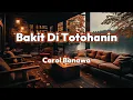 Bakit Di Totohanin - Carol Banawa | Lyrics Video
