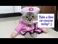 Free nursing ceus CEs nurse nursing continuing education offers learning solutions for nurses
