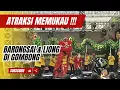 Download Lagu ATRAKSI MEMUKAU !!! PENTAS BARONGSAI DAN LIONG DI GOMBONG