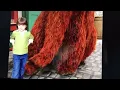 Sesame Street - Doin' the Snuffleupagus