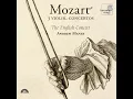 Violin Concerto No. 5 in A major, K. 219: II. Adagio