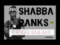 Download Lagu Shabba Ranks - Wicked Inna Bed (Dancehall Lyrics provided by Cariboake The Official Karaoke Event)